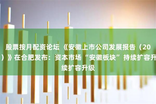 股票按月配资论坛 《安徽上市公司发展报告（2025）》在合肥发布：资本市场 “安徽板块” 持续扩容升级