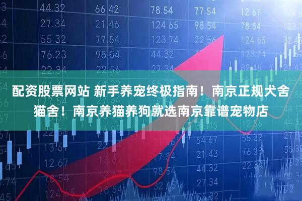 配资股票网站 新手养宠终极指南！南京正规犬舍猫舍！南京养猫养狗就选南京靠谱宠物店