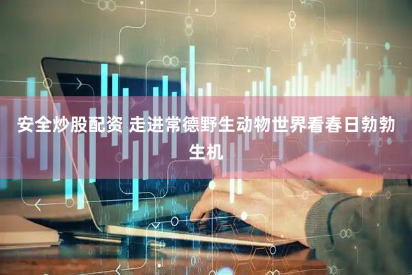 安全炒股配资 走进常德野生动物世界看春日勃勃生机